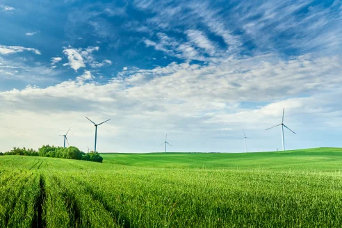 Renewable Energy Light Company