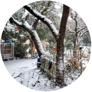 Explosión ártica en Texas