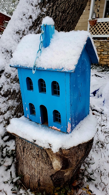 El tiempo en Texas, heladas en Texas